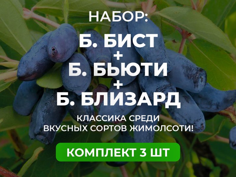 Бореалы — изображение 1