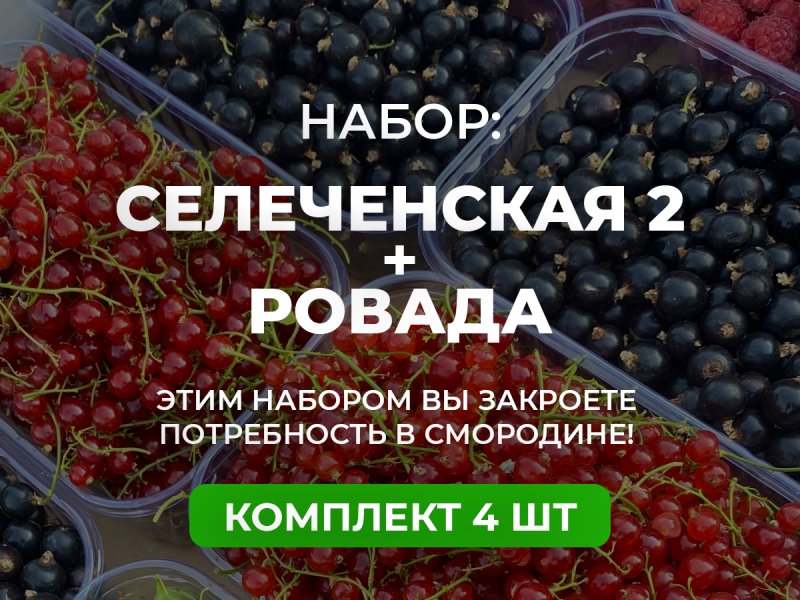 Красная/черная — изображение 1