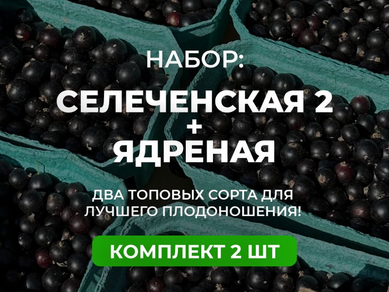 Навсегда — изображение 1