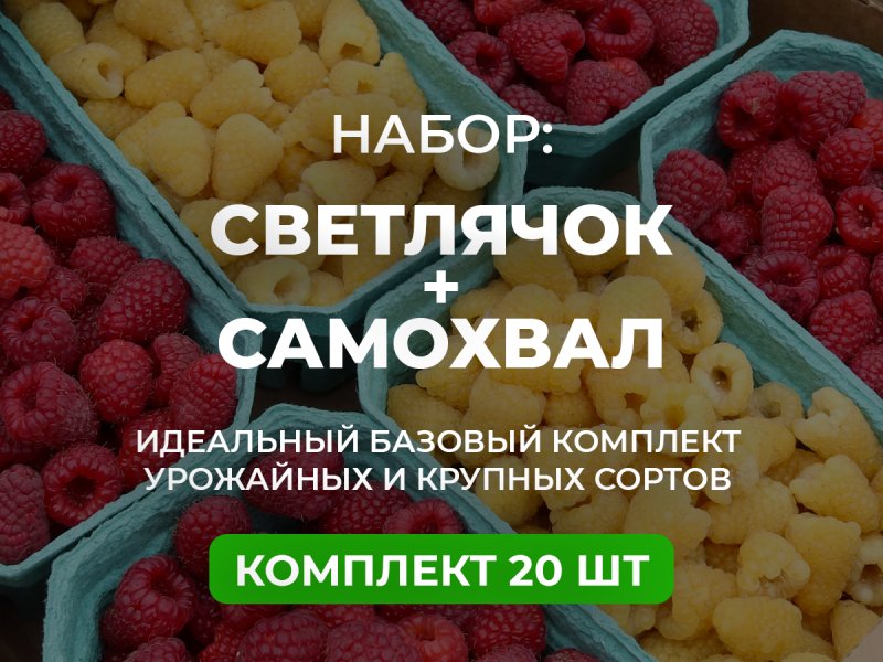 База для сада — изображение 1