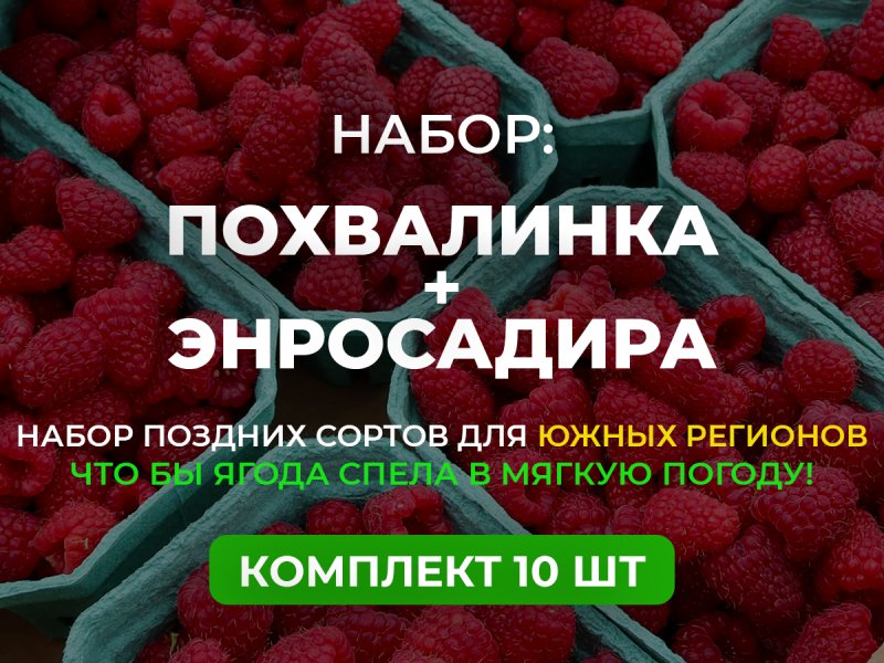 Для южных регионов — изображение 1