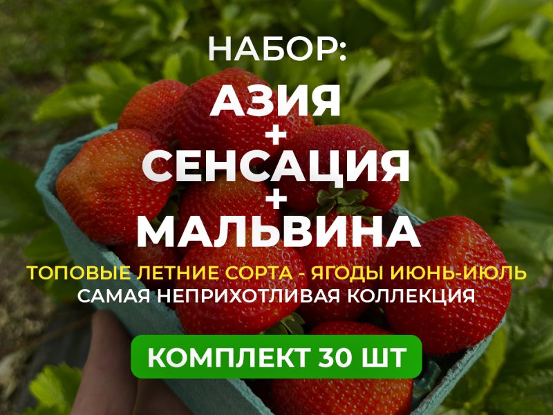 ЛЕТНЕЕ НАСТРОЕНИЕ — изображение 1