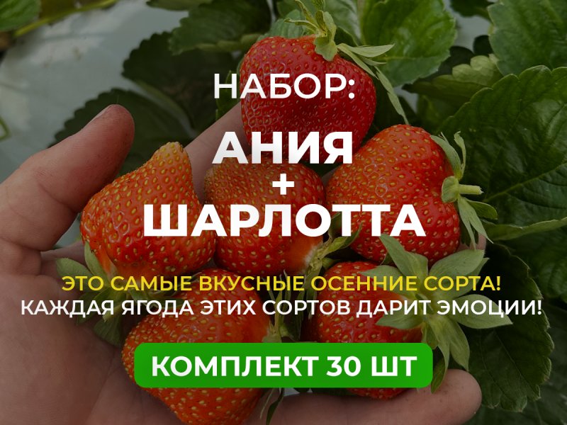 ОСЕННЕЕ НАСТРОЕНИЕ — изображение 1