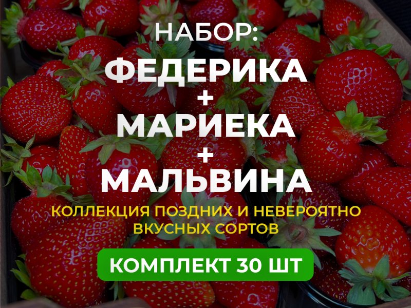 ЛЕТНЕЕ НАСТРОЕНИЕ — изображение 1